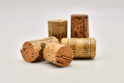 What is cork taint? Why Are Some Wines Corked? Top 5 Facts About This Sneaky Subject