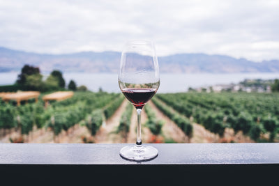 Wine Beginners? Try These 5 Italian Reds