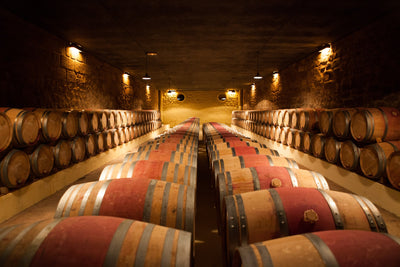 How Oak Barrels Influence the Taste of Wine: Exploring the Oaky Adventure